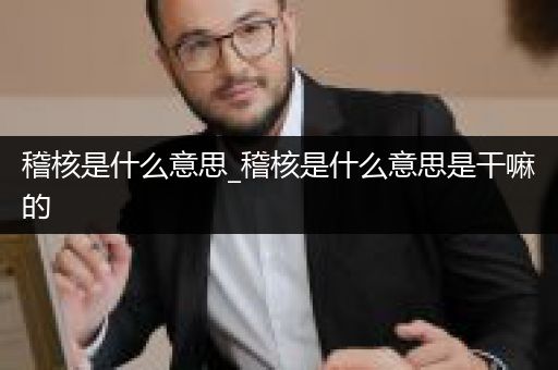 稽核是什么意思_稽核是什么意思是干嘛的